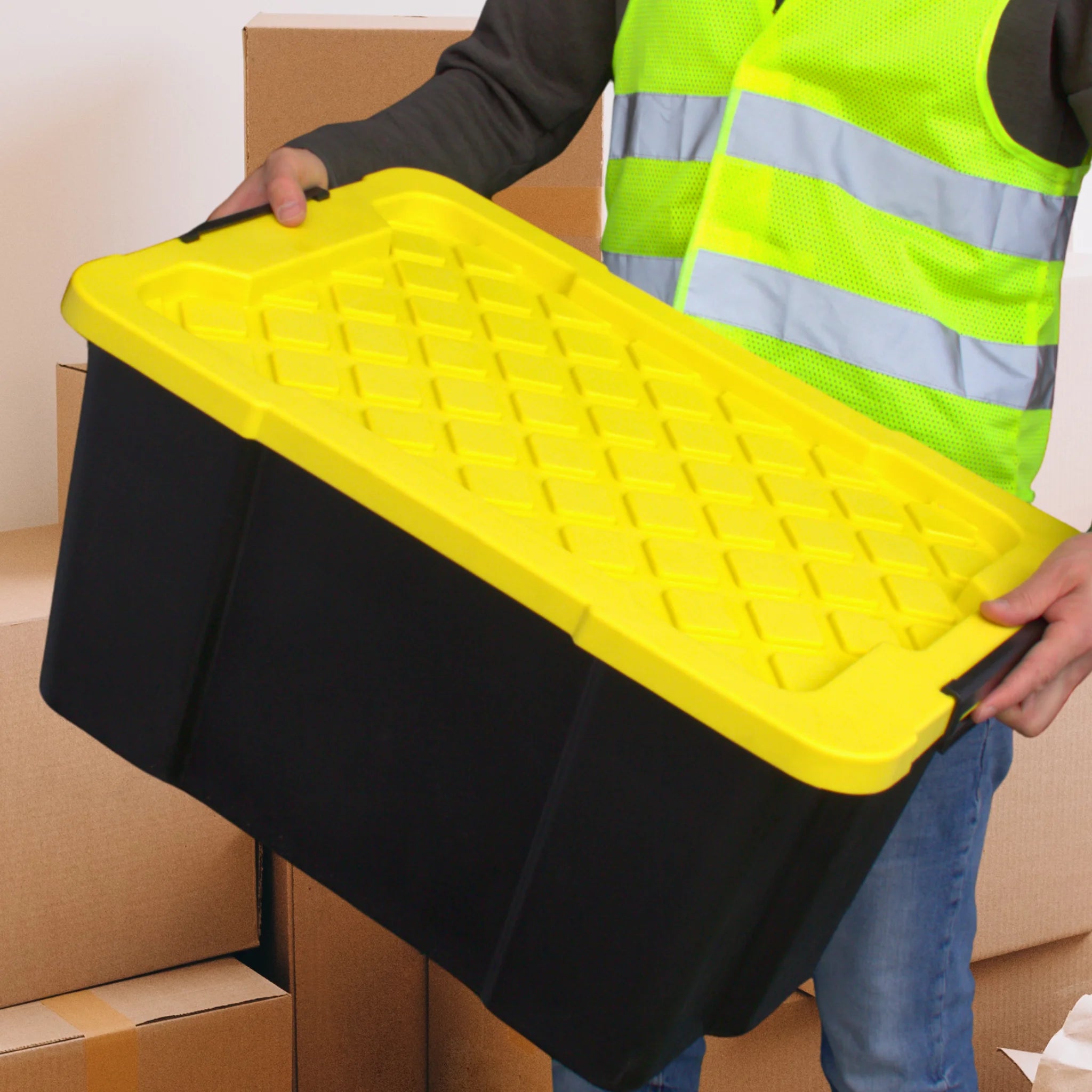 versatile medium storage organizer box with lid and carry handles