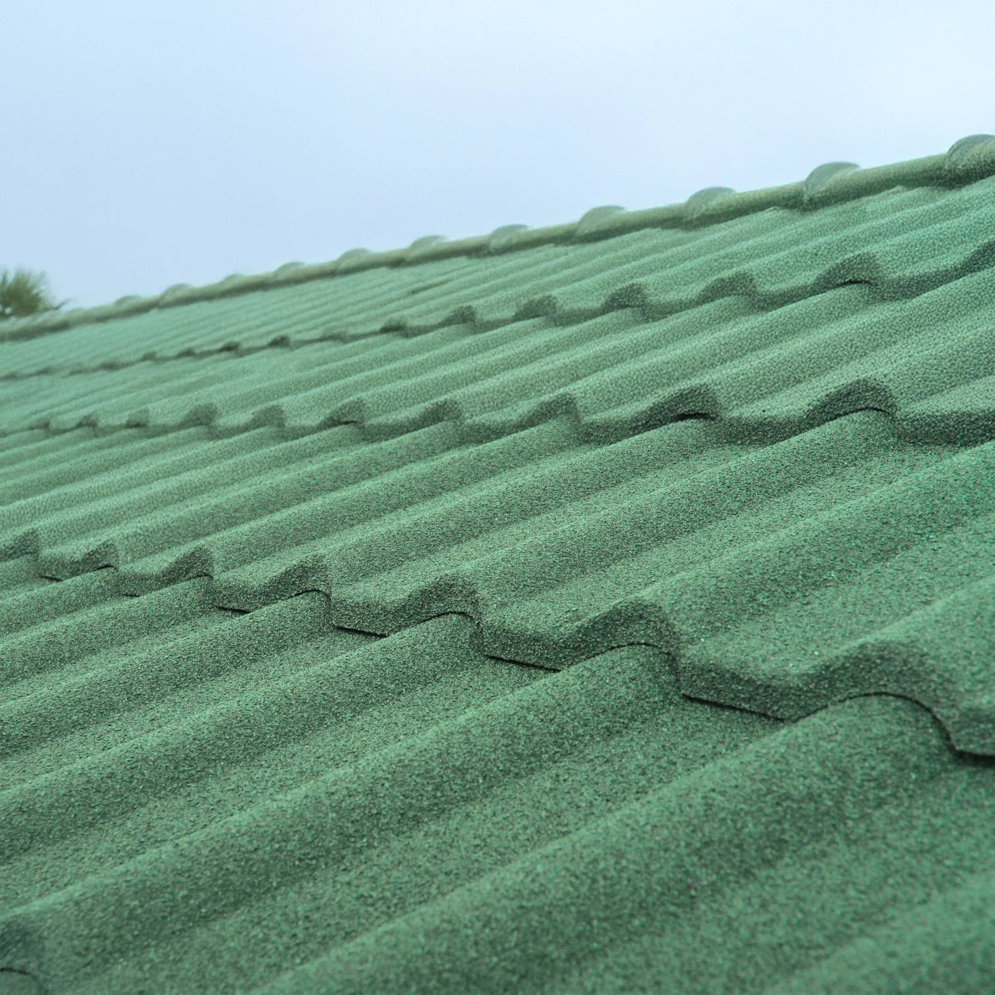 detailed view of a green roof shingles with a basalt stone coating