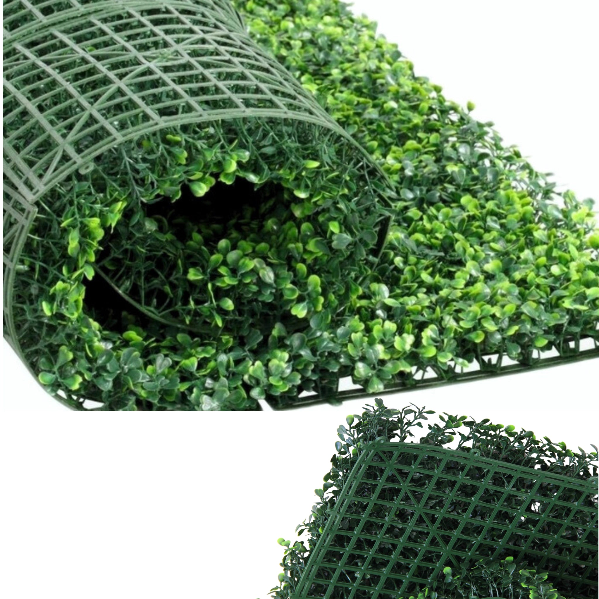 Rolled-up green wall panel showing foliage and grid structure