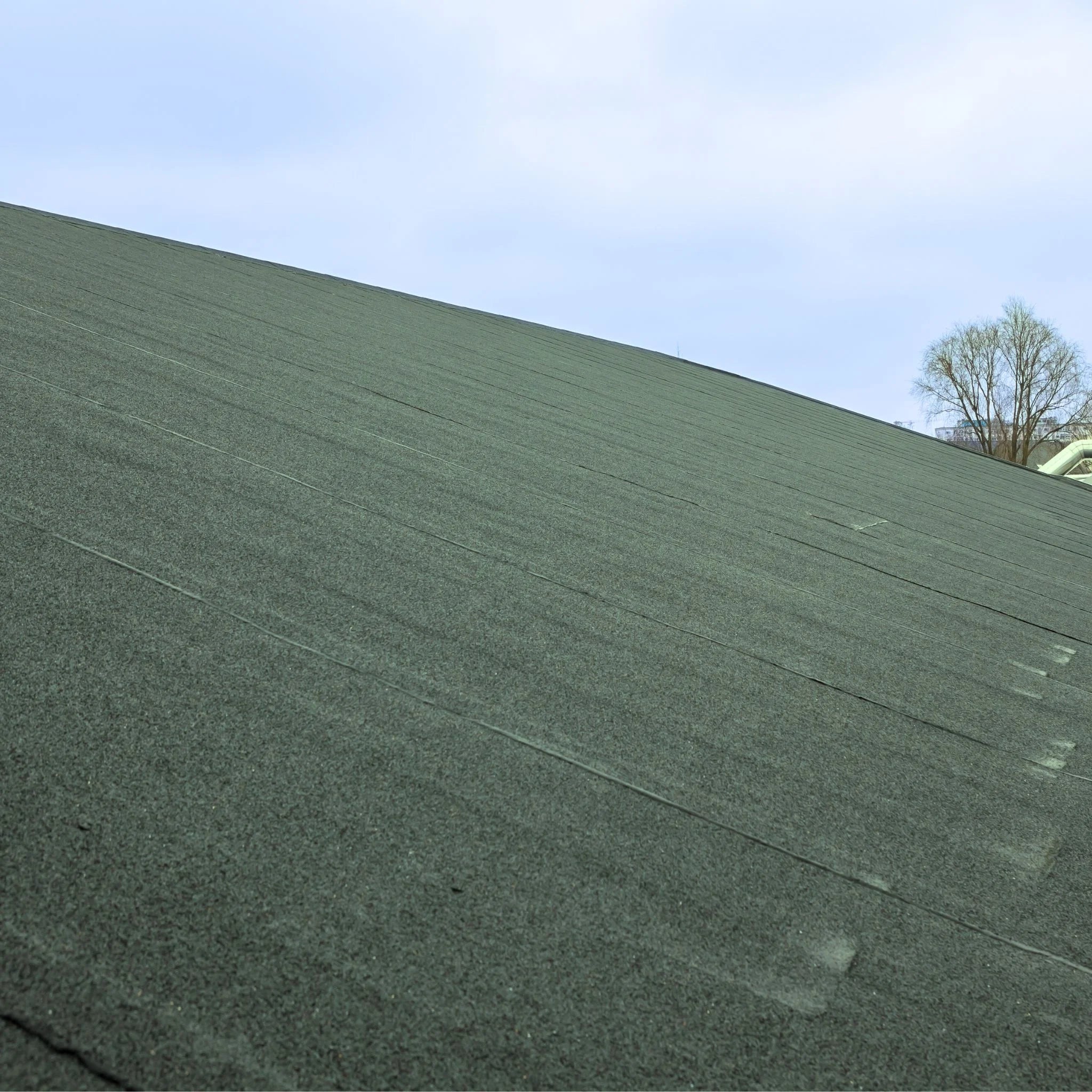 close-up of green roofing felt