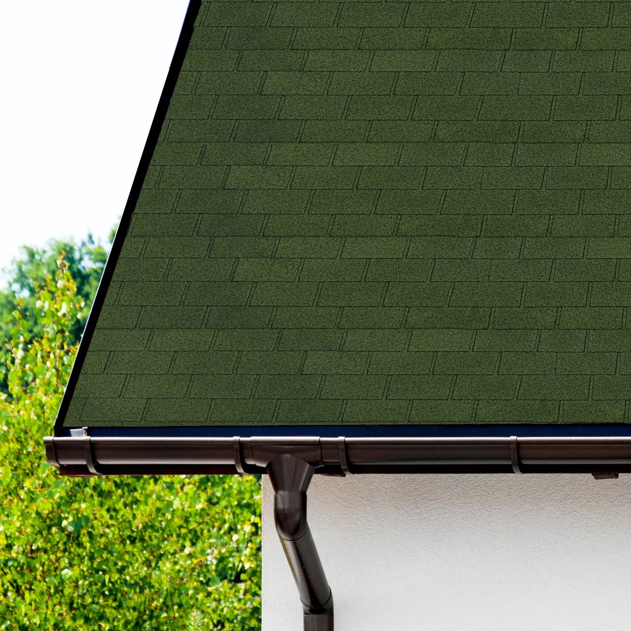 house with shingle roof with gutter and white wall