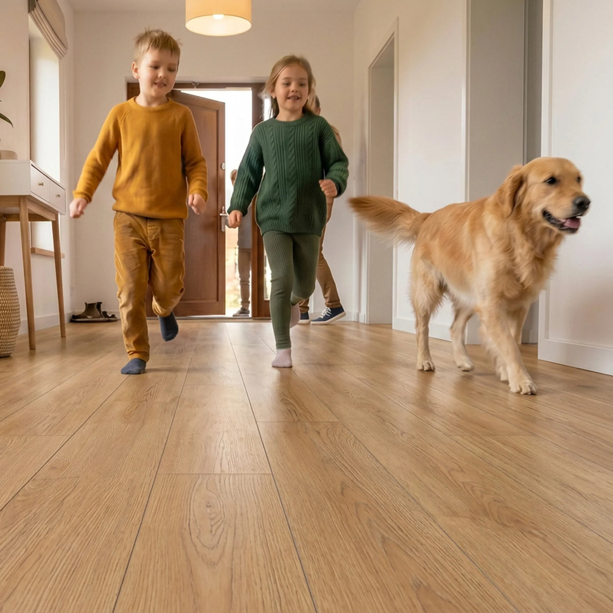 Wood effect flooring living room
